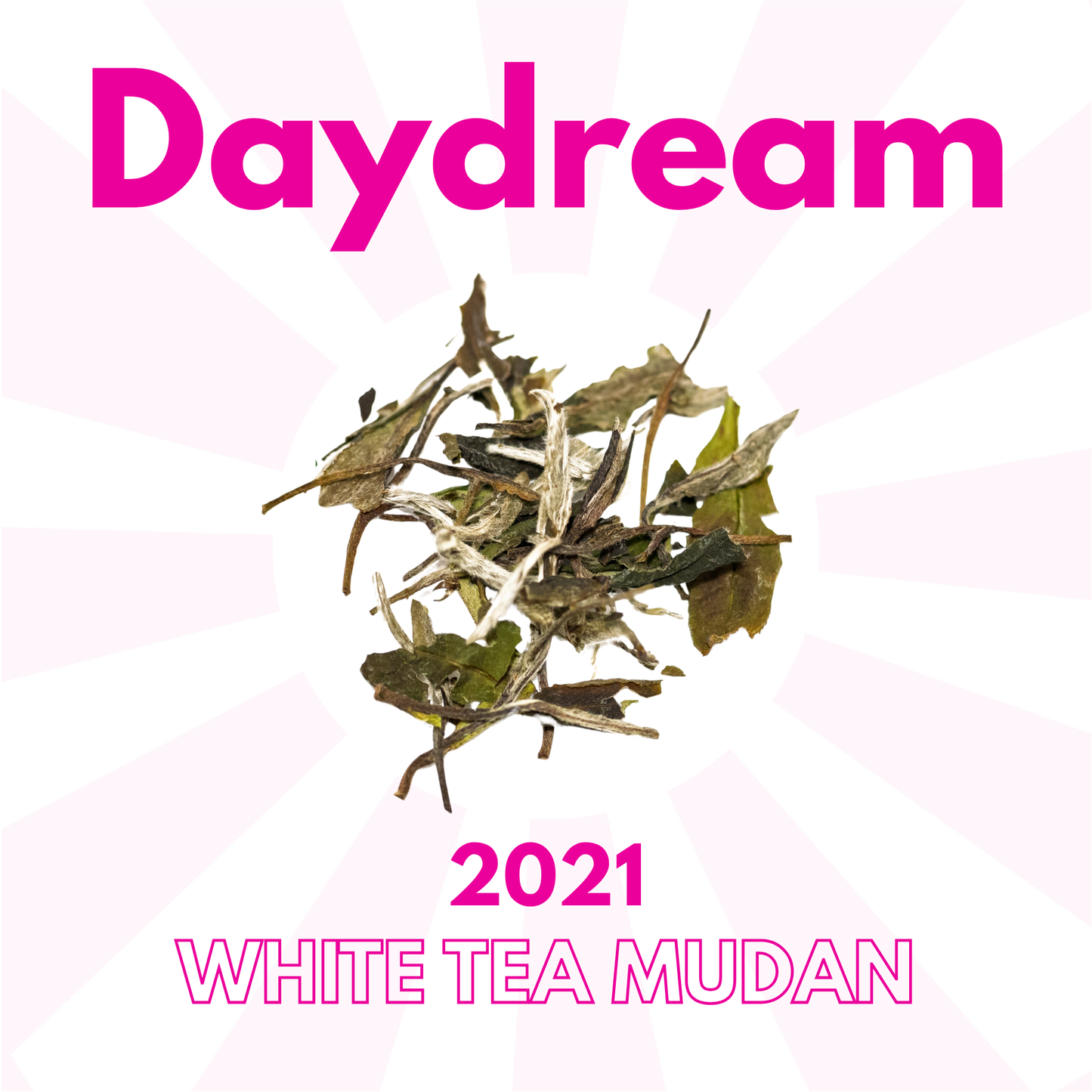 Daydream
