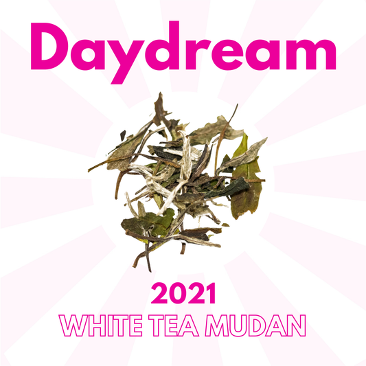 Daydream